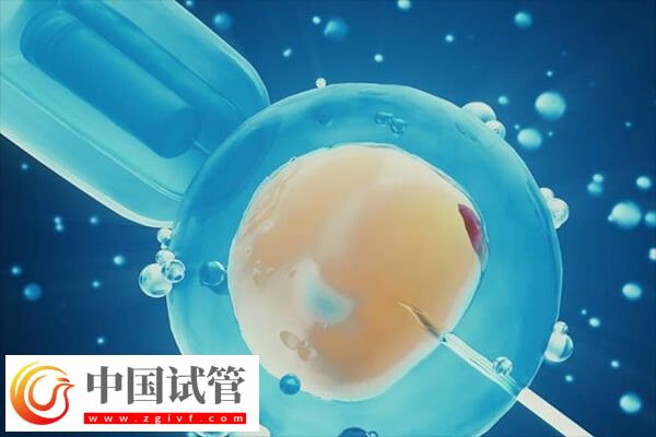 移植鲜胚后多久着床(图1)