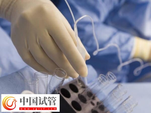 如何保证冷冻后的卵子质量(图1)