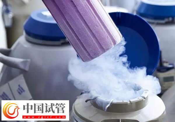 试管移植后剩余的胚胎怎么处理(图1)