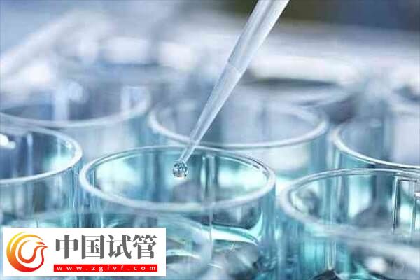 胚胎培育周期结束后何时进行移植(图1)