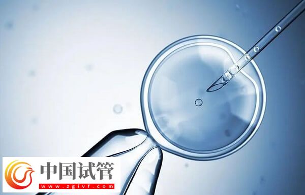 试管婴儿胚胎移植成功率多少(图1)