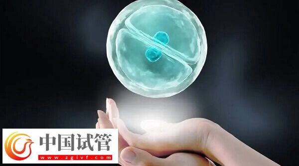试管婴儿胚胎移植成功率多少(图2)
