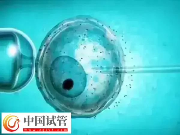 二代试管婴儿费用要多少(图1)