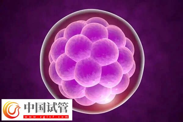 二代试管婴儿费用要多少(图2)