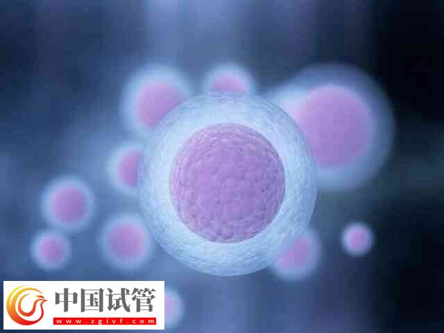 胚胎移植第11天肚子刺疼怎么回事(图2)