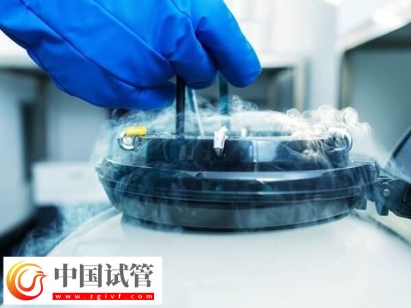 冻胚移植后孕酮雌二醇都正常怀孕率多高(图2)