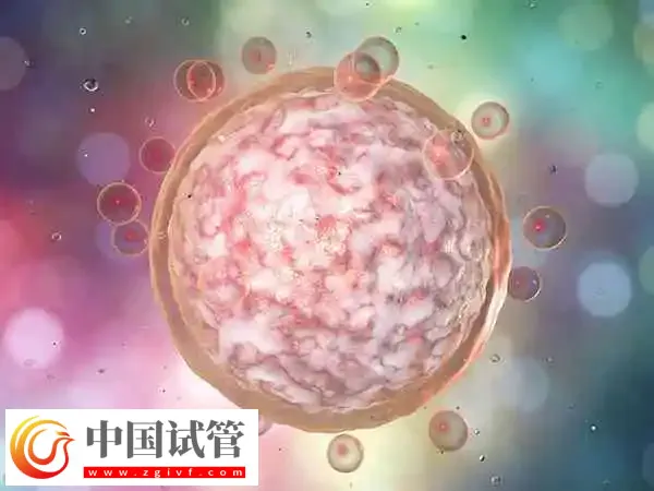 冻胚移植后孕酮雌二醇都正常怀孕率多高(图1)