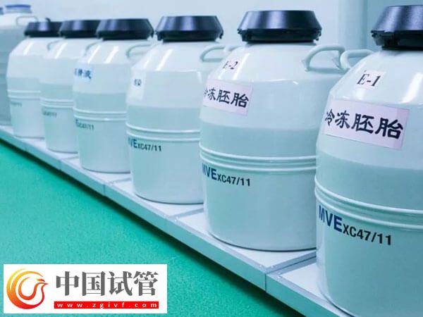 试管婴儿CET和FET是什么意思(图1)
