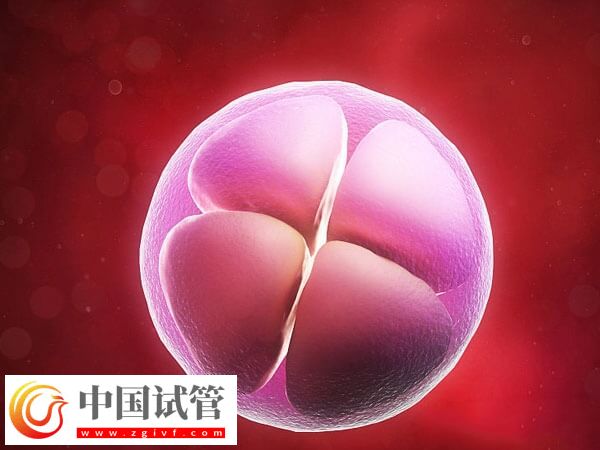 导致胚胎移植失败的因素是什么(图2)
