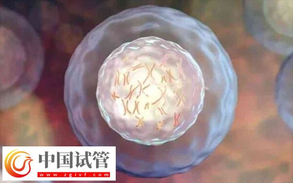 做二代试管为什么老配成c级胚胎(图2)