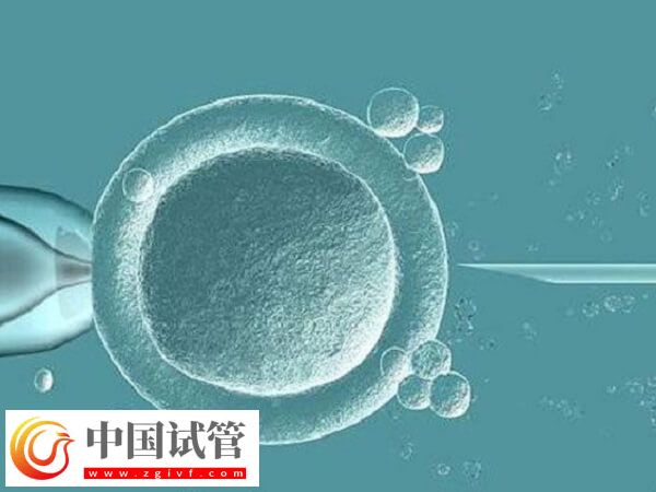 试管囊胚4cb和3ab哪个好一点(图1)
