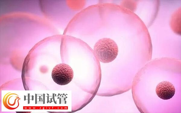 成都做试管婴儿哪家好(图1)