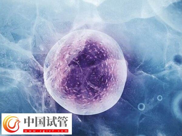 多久可以进行冻卵移植(图1)