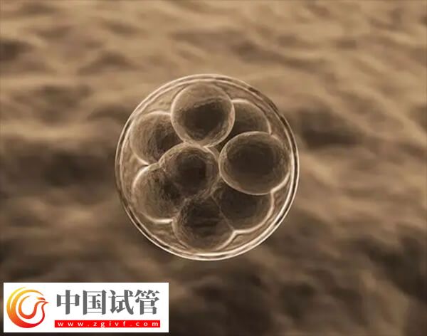 试管移植后雌二醇高孕酮低会不会影响着床(图1)