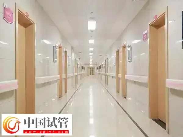 南昌生殖医院试管成功率高不高(图1)