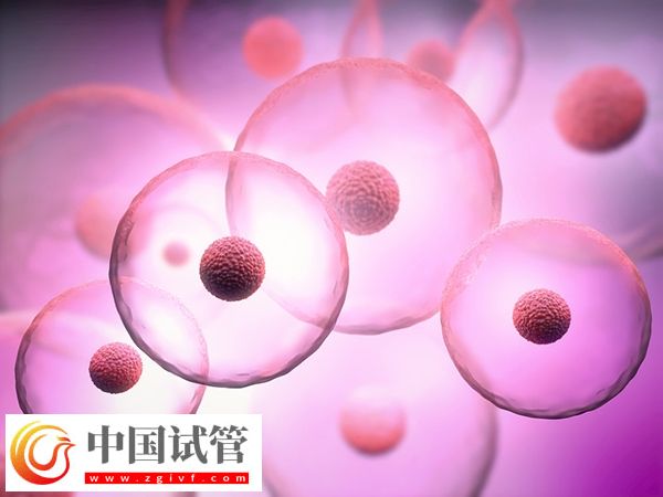 南宁试管婴儿费用大概要多少钱(图1)