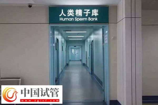 北京有精子库的医院有哪些(图2)