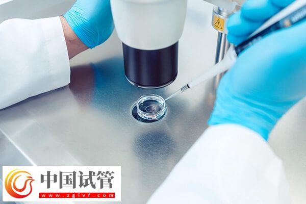深圳做试管婴儿多少钱(图1)