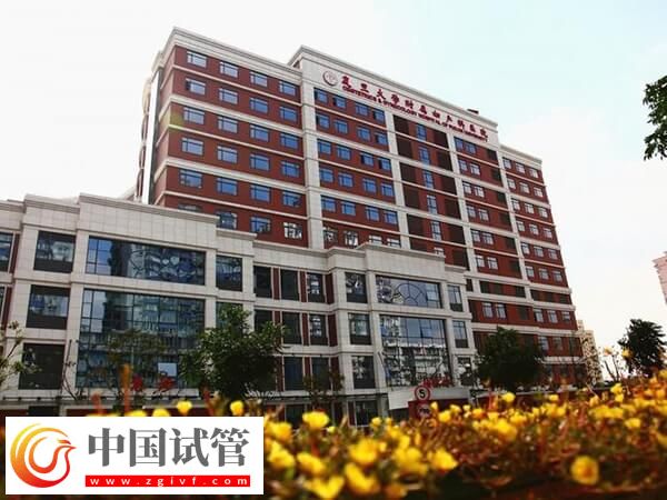 上海红房子做试管婴儿怎么预约(图1)