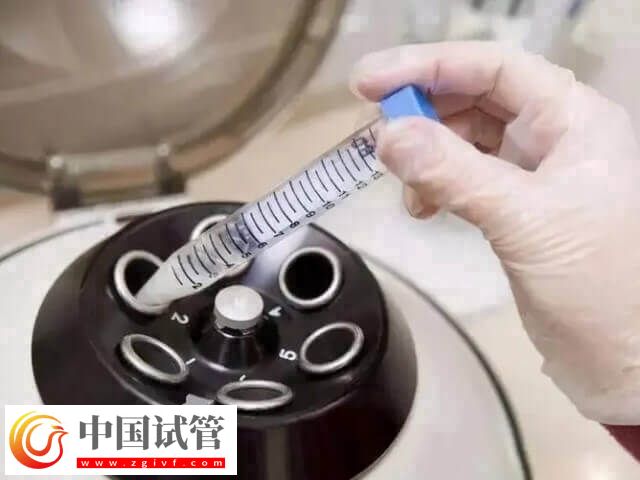 呼和浩特市试管婴儿价格多少(图1)