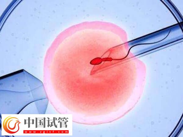 钦州妇幼试管婴儿需要多少钱？(图2)