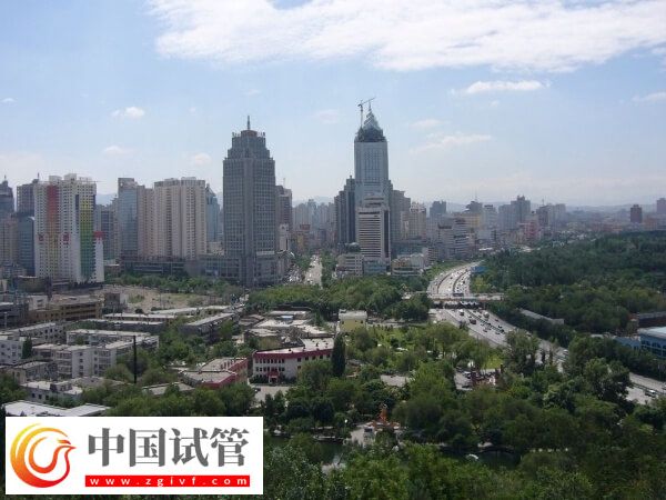 乌鲁木齐试管婴儿医院有哪些(图1)