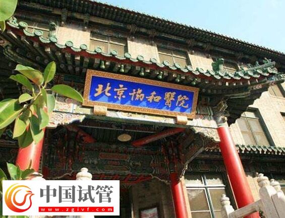 国内给hiv阳性做试管的医院有哪些(图1)