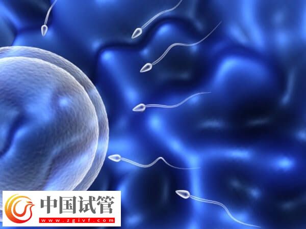 一代试管生男孩的经验是什么(图1)