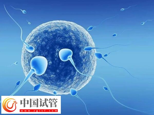 1-2个卵泡可不可以做试管(图1)
