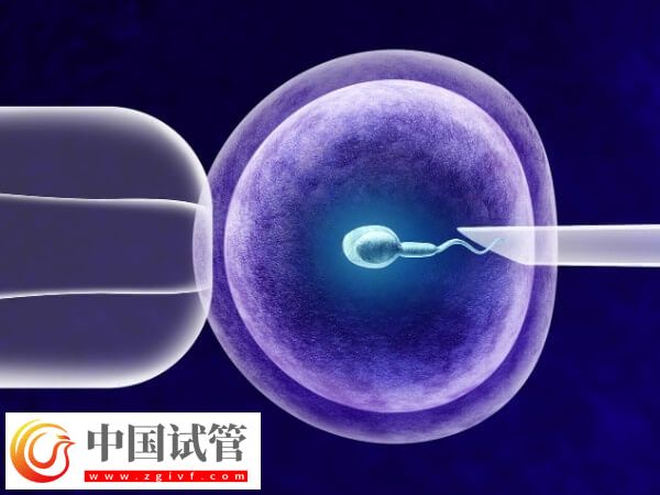 上海九院试管流程是什么(图1)