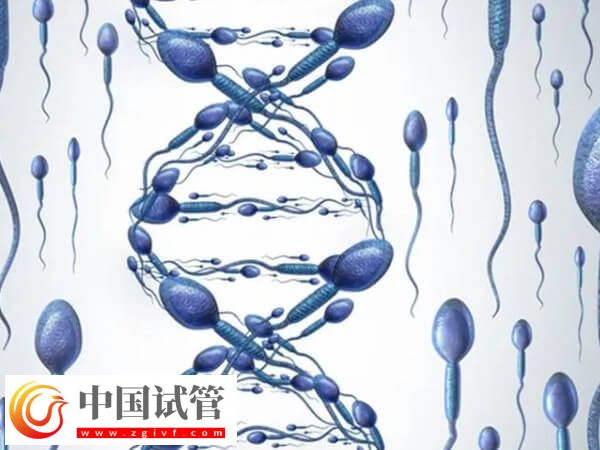 男方罗氏易位三代试管成功率多高(图2)