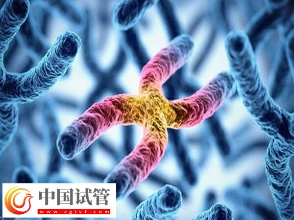 男方罗氏易位三代试管成功率多高(图1)