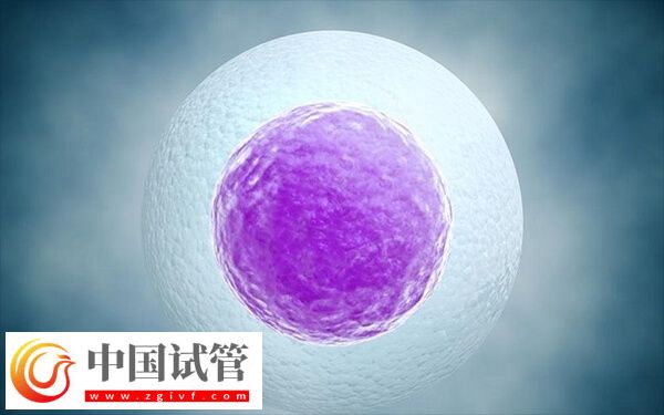 第三代试管婴儿移植6bc囊胚成功率多大(图1)