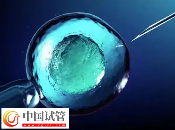 4BB囊胚PGS检测成功率多高(图1)