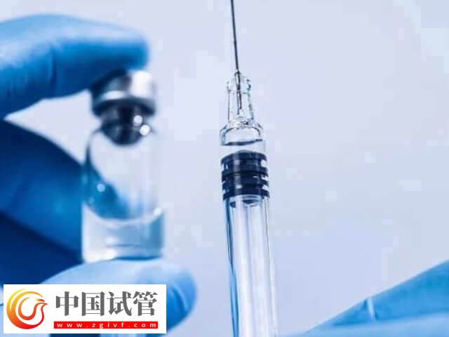 每天打排卵针为什么卵泡会减少(图1)