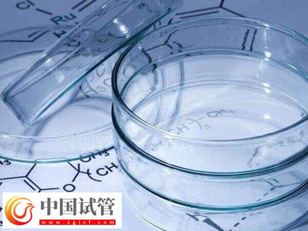 免疫球蛋白在胚胎移植第几天打(图1)