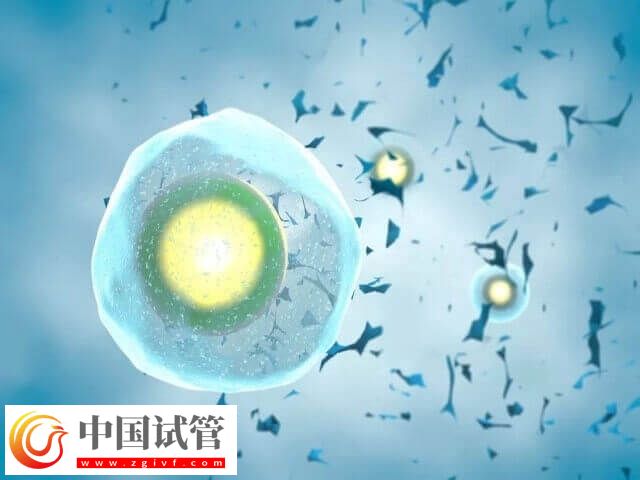 第二次试管需不需要促排(图2)