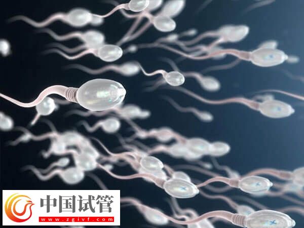 艾滋病洗精费用是多少(图1)