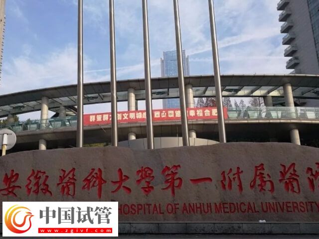 合肥安医大吴欢做试管怎么样(图1)