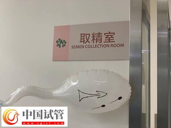 试管提前一天排精可不可以(图2)