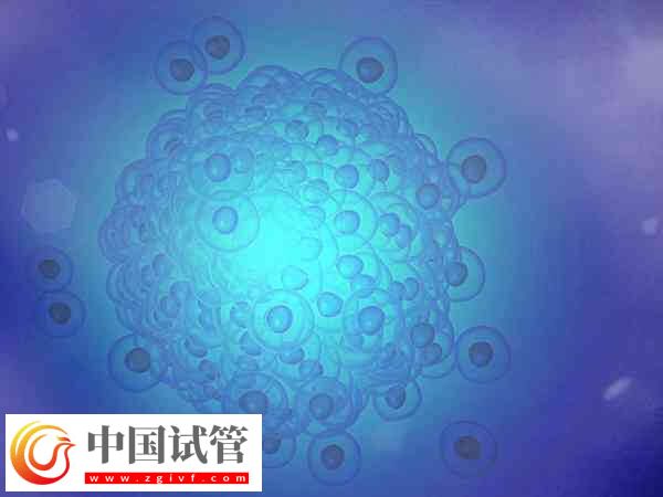 胚胎有基因问题三代试管能否解决(图1)