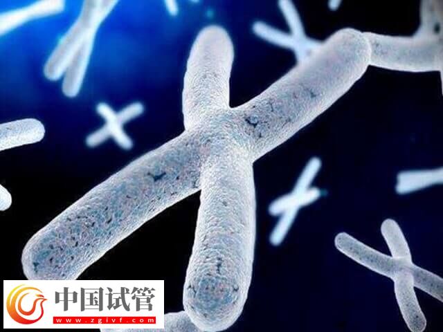 胚胎有基因问题三代试管能否解决(图2)