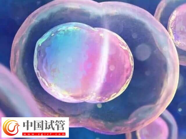 山大生殖高芹跟盛燕试管技术对比(图1)