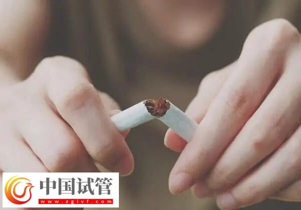 做试管是不是可以提高卵子质量(图2)