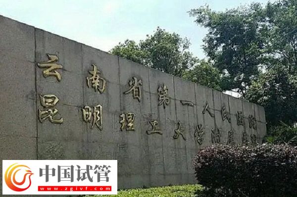昆华医院试管婴儿哪个医生做的好(图2)