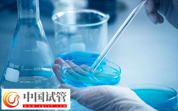 河南做试管哪家医院成功率最高(图2)