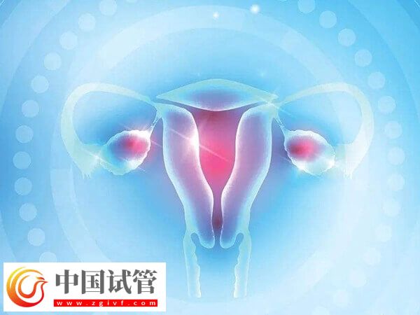 24岁卵巢早衰医生说不用治怎么回事(图2)
