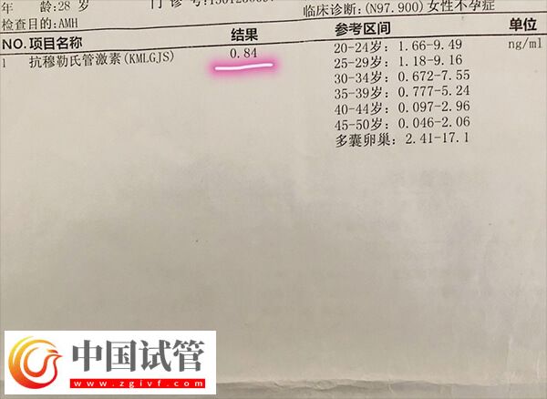 amh低会不会有优势卵泡发育(图2)