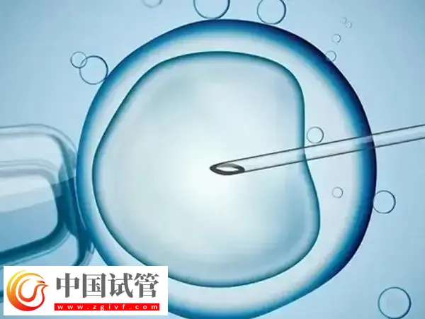 amh0.38试管有没有成功的(图2)