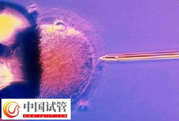 amh0.01试管有没有成功的(图2)
